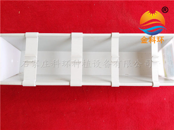 国产麻豆黄色网站草莓栽培槽