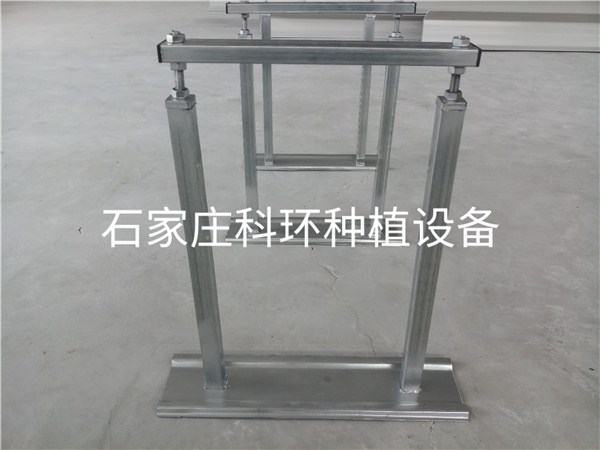 国产麻豆黄色网站草莓栽培槽