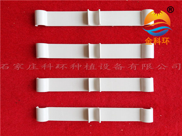 国产麻豆黄色网站草莓栽培槽