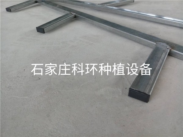 国产麻豆黄色网站草莓栽培槽